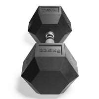 Hex-rubber-dumbell-22.5kg-vorne-trym